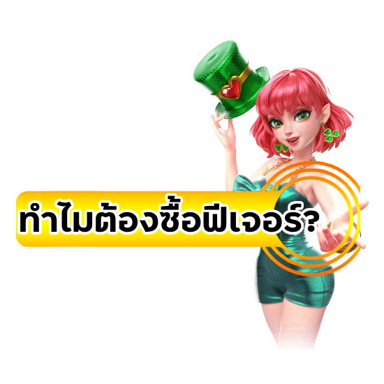 ทำไมต้องซื้อฟีเจอร์?